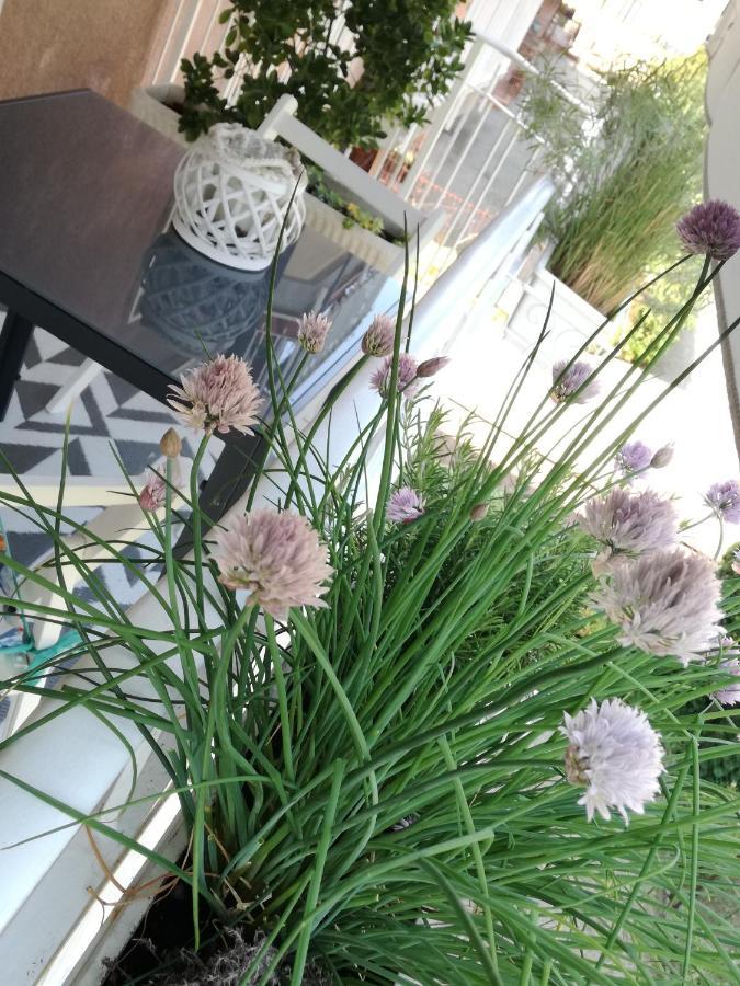 Suite 51 Appartamento Con Terrazzo A 50 Mt Dal Lago - Private Parking (Adults Only) 아로나 외부 사진